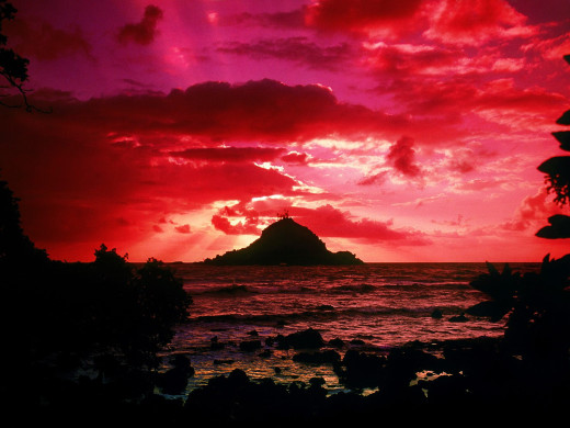 26185 (a): :1600x1200